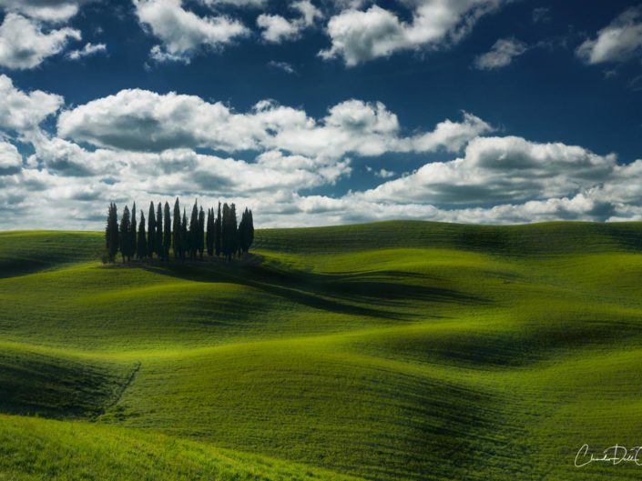 Landscapes