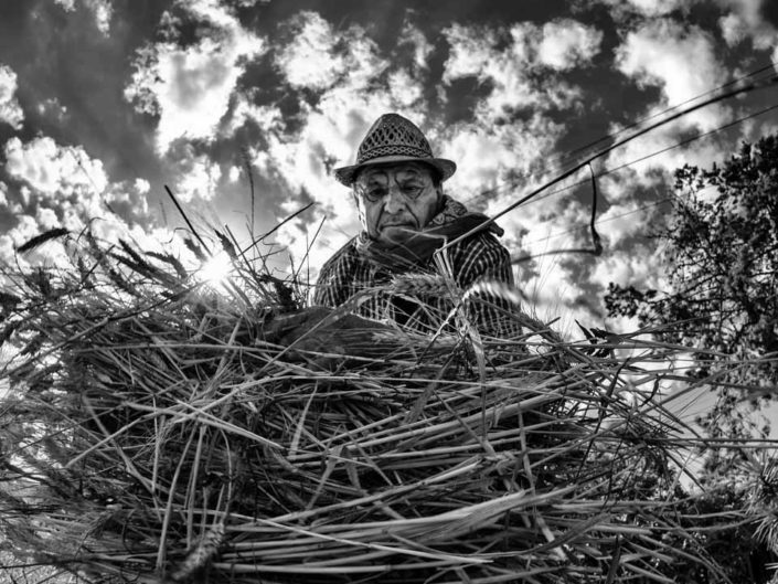 harvest claudio dell'osa ph