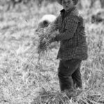 harvest claudio dell'osa ph