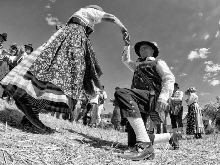 harvest claudio dell'osa ph