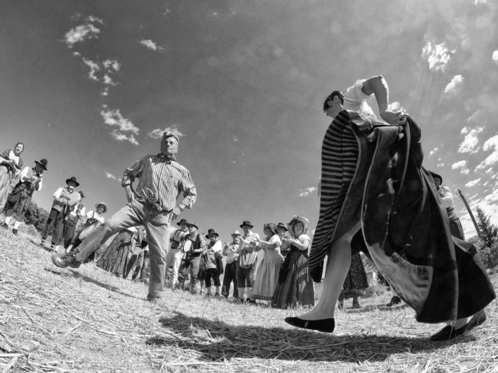 harvest claudio dell'osa ph