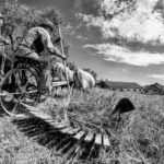 harvest claudio dell'osa ph