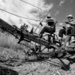 harvest claudio dell'osa ph