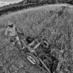 harvest claudio dell'osa ph