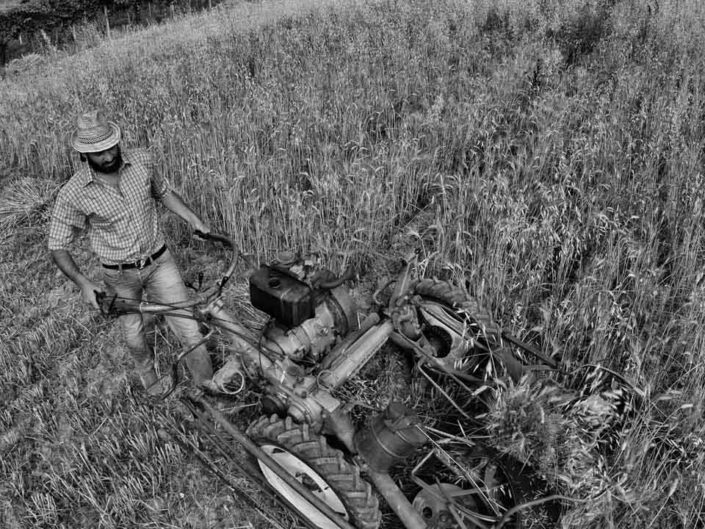 harvest claudio dell'osa ph