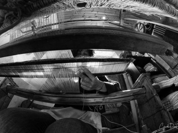 Weaving claudio dell'osa ph