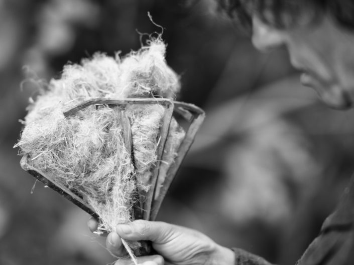 Weaving claudio dell'osa ph