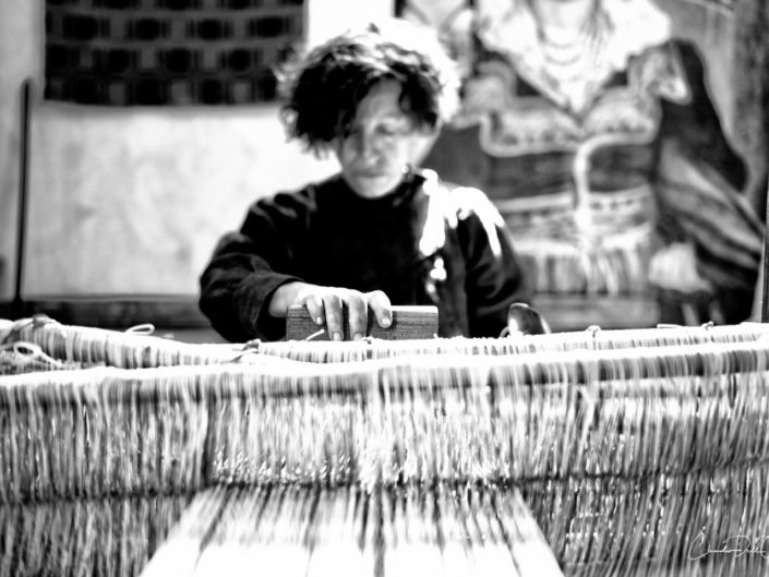 Weaving claudio dell'osa ph