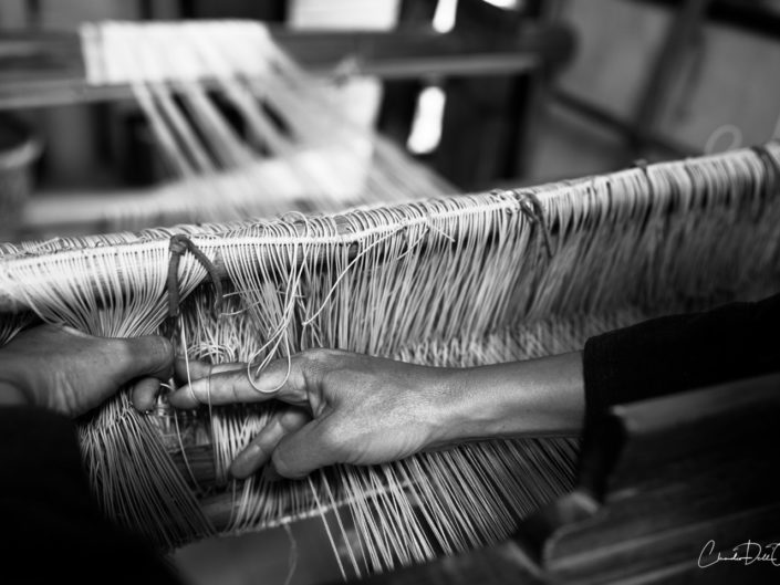 Weaving claudio dell'osa ph