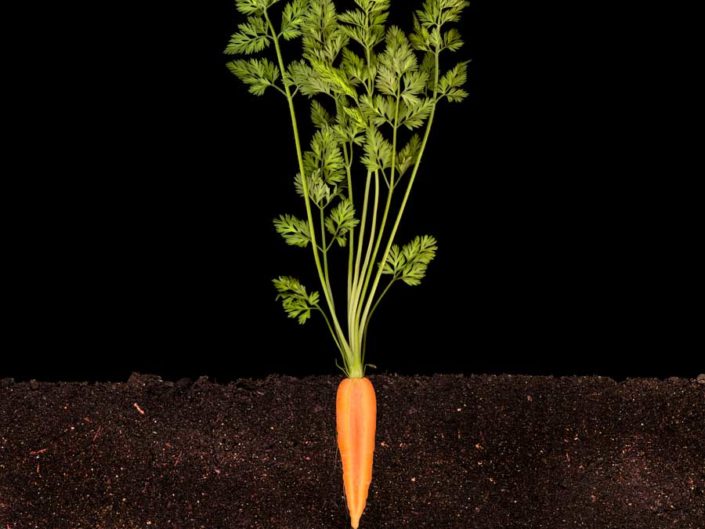 cutting food photography